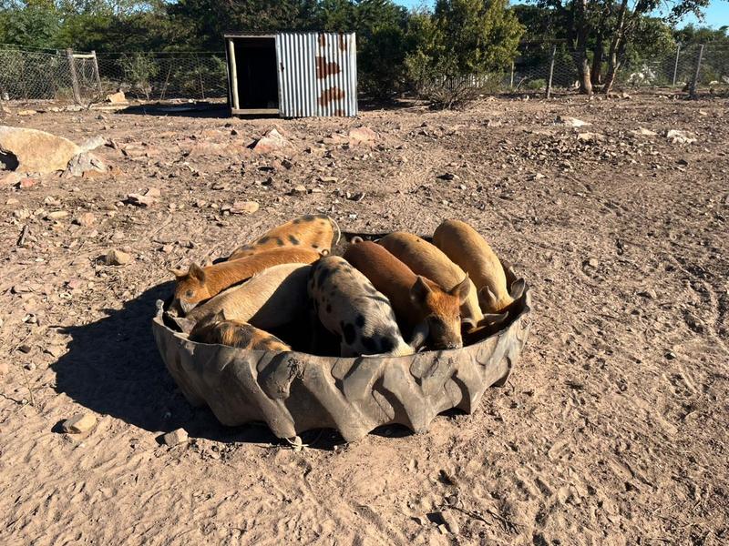 4 Bedroom Property for Sale in Port Alfred Eastern Cape